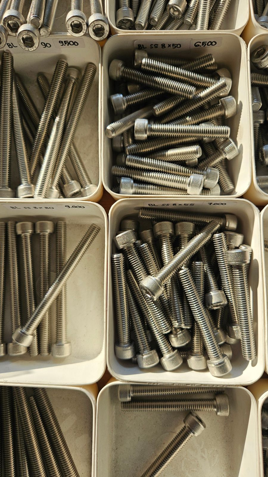 Assorted Screws and Wall Plugs Kit