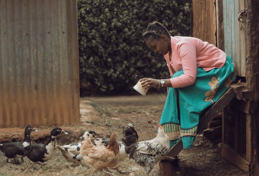 Mama Wambui Poultry Farm logo