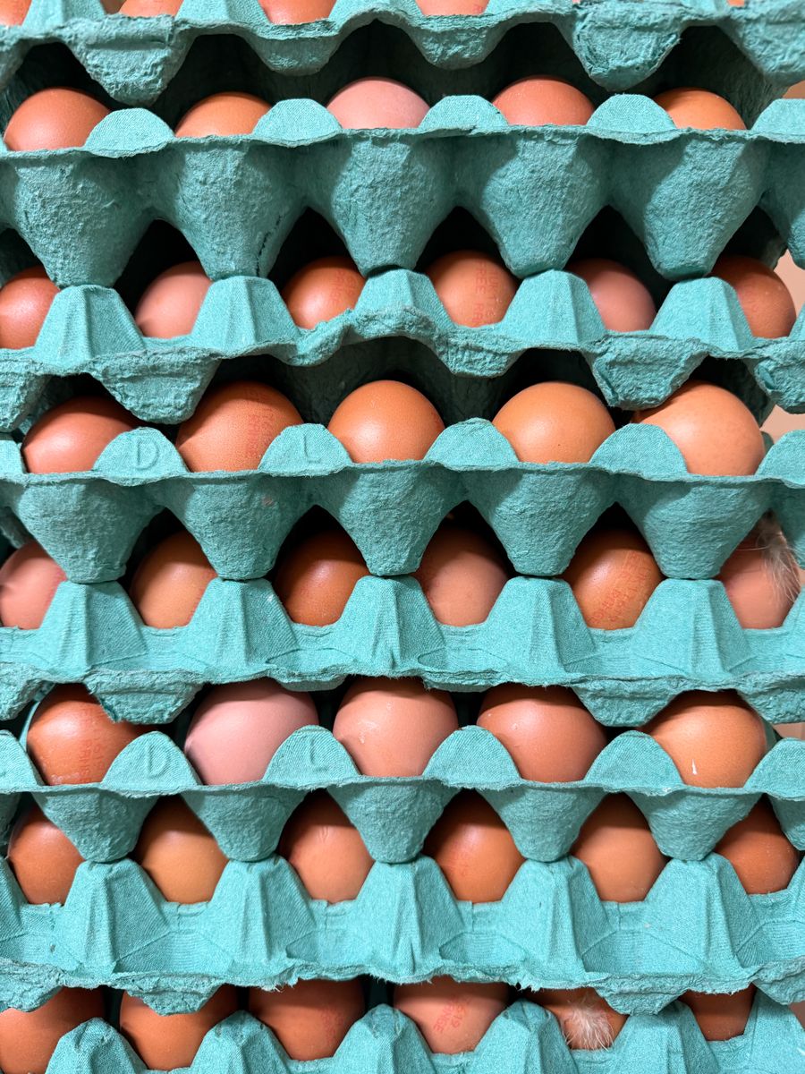 Fresh Kienyeji Eggs, Tray of 30
